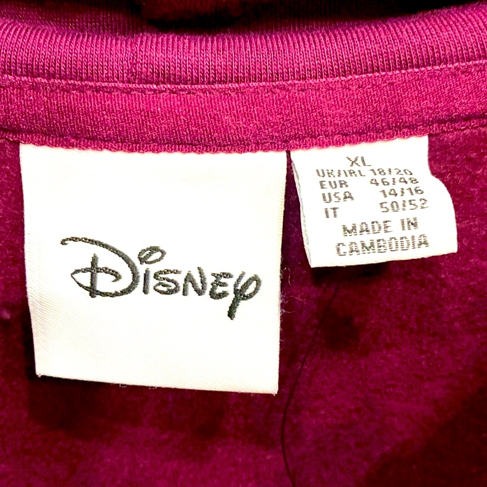 Minnie Mouse Cheerleading Graphic Hoodie - Size Extra Large XL - NWT - Picture 3 of 3